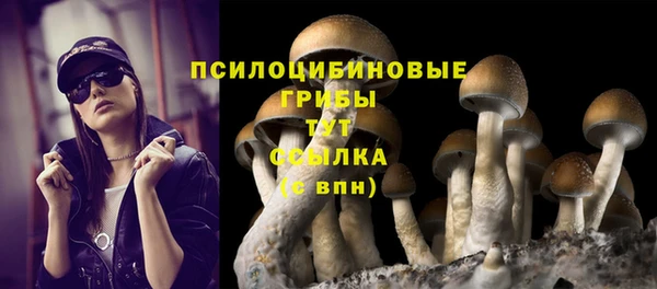 гидра Алексин