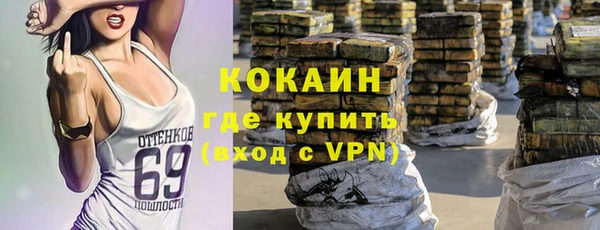 винт Алзамай