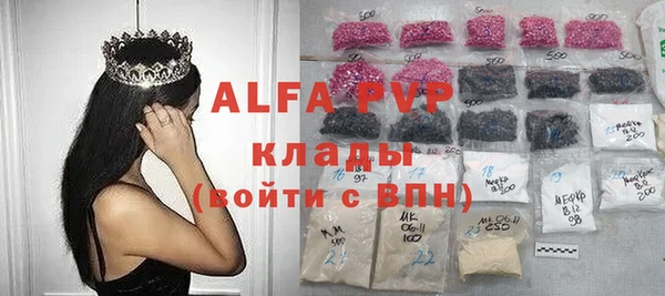 гидра Алексин