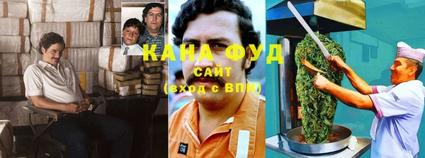 гидра Алексин
