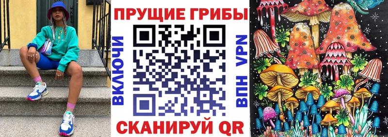 Псилоцибиновые грибы мицелий  мориарти клад  Серов  закладка 