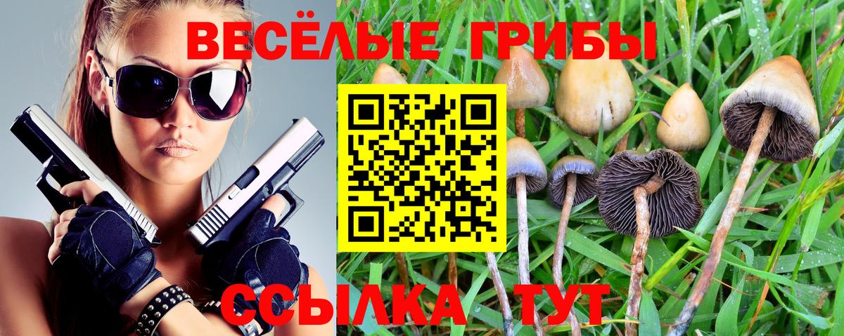 Галлюциногенные грибы MAGIC MUSHROOMS Серов