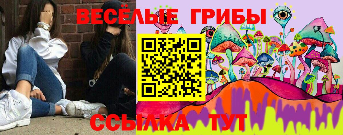 Галлюциногенные грибы GOLDEN TEACHER  Вход с VPN  Серов 